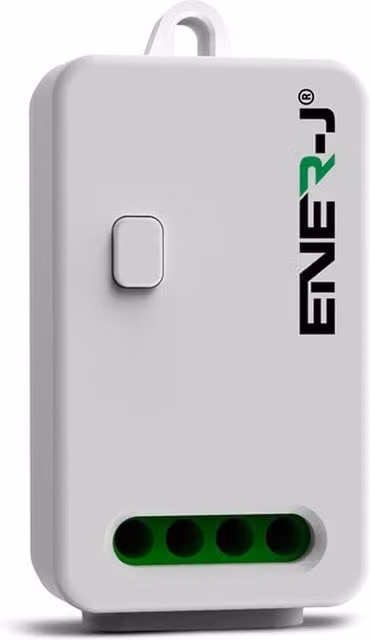 EnerJ Smart ECO RANGE Non Dimmable 1000W RF Receiver, White