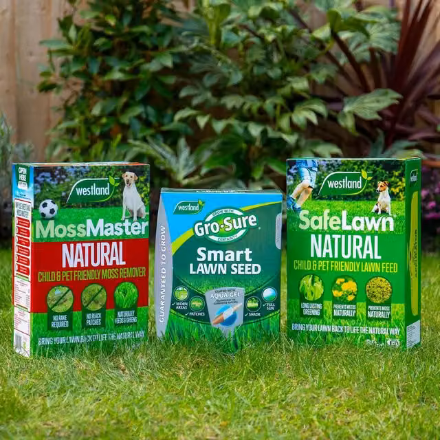 Westland Natural LawnCare Bundle with Moss Master, SafeLawn Feed and Gro-Sure Smart Seed for 80sqm