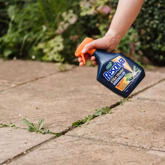 Resolva Pro Xtra Tough Weedkiller Spray, Brown