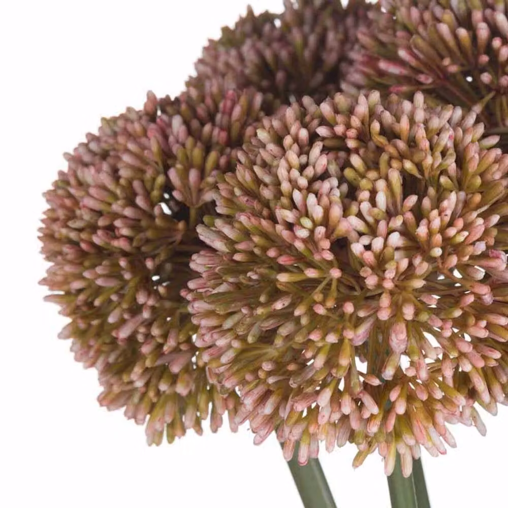Lemon Pavilion Pink Allium Artificial Plastic Plant, W: 10 cm, D: 10 cm, H: 63 cm – 5