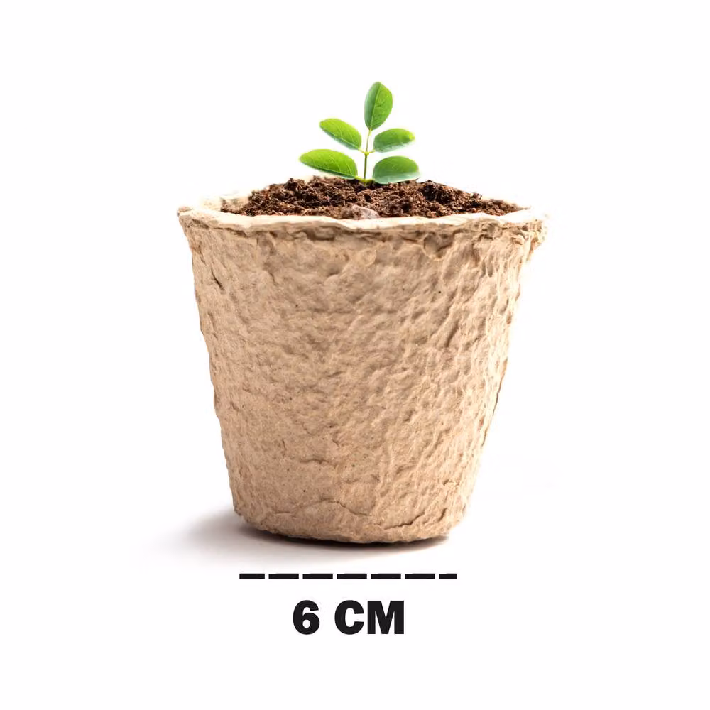 Keplin 96 Pack Biodegradable Fibre Seedling Pots in Beige for Plant Cultivation – 3