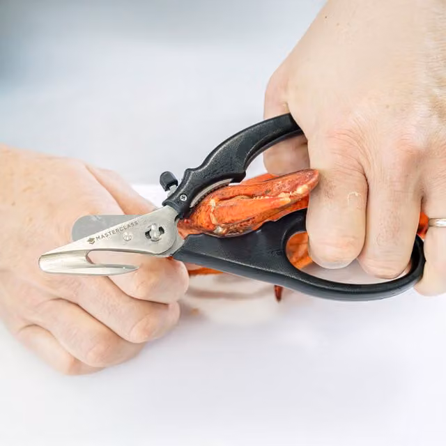 MasterClass Seafood Shears in Black Stainless Steel