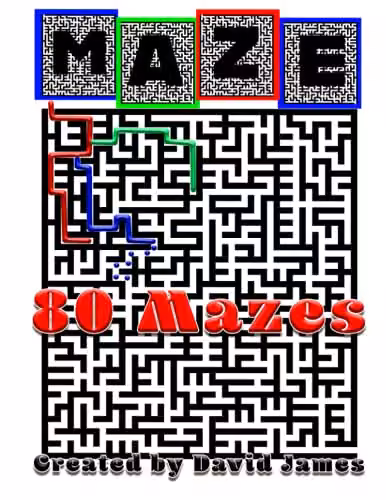 Maze Puzzle Book with 80 Large Mazes for Adults, Multicolour Paper Edition