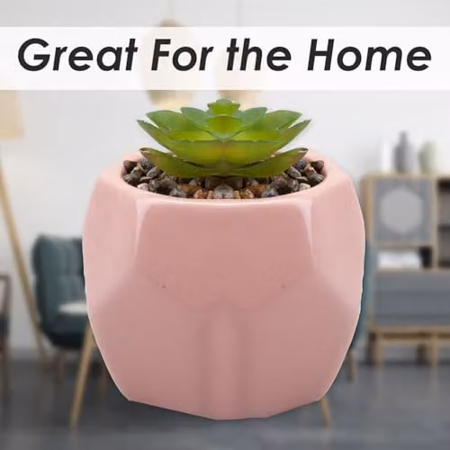 VFM e-Store Artificial Pink Succulent Potted Plant in Plastic Pot, Height: 12.1 cm – 2