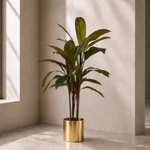 Botanik 100cm Artificial Potted Dracaena Tropical Plant with Gold Planter in Green