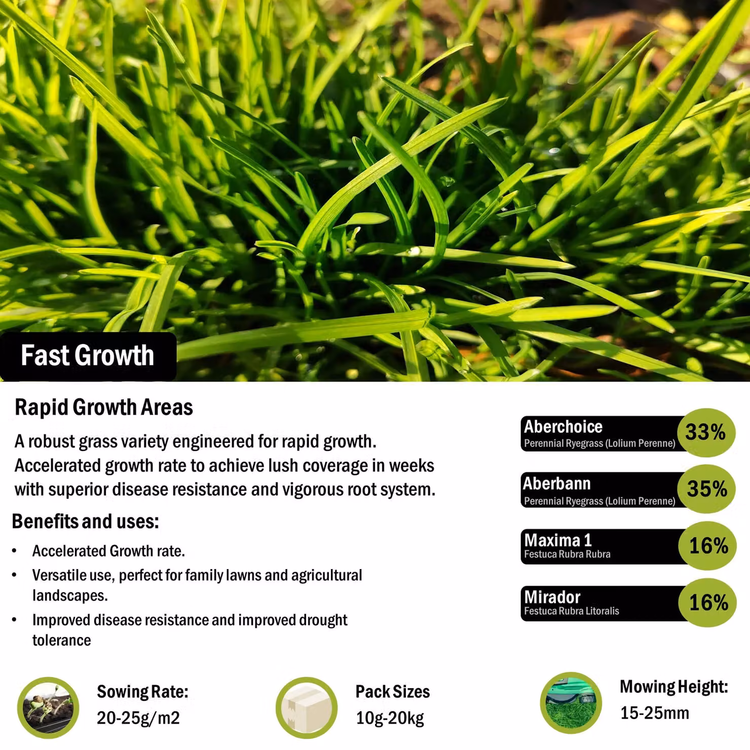 Pegdev Fast Growing Lawn Grass Seed, 50g – 2