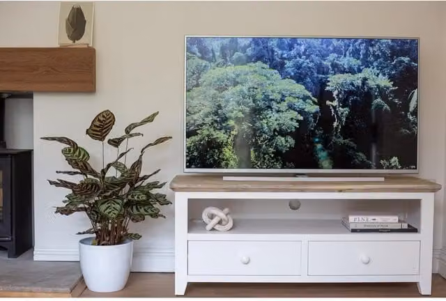 Statement Furniture Florence Acacia Wood TV Unit in White, W/D/H: 120 x 45 x 50 cm