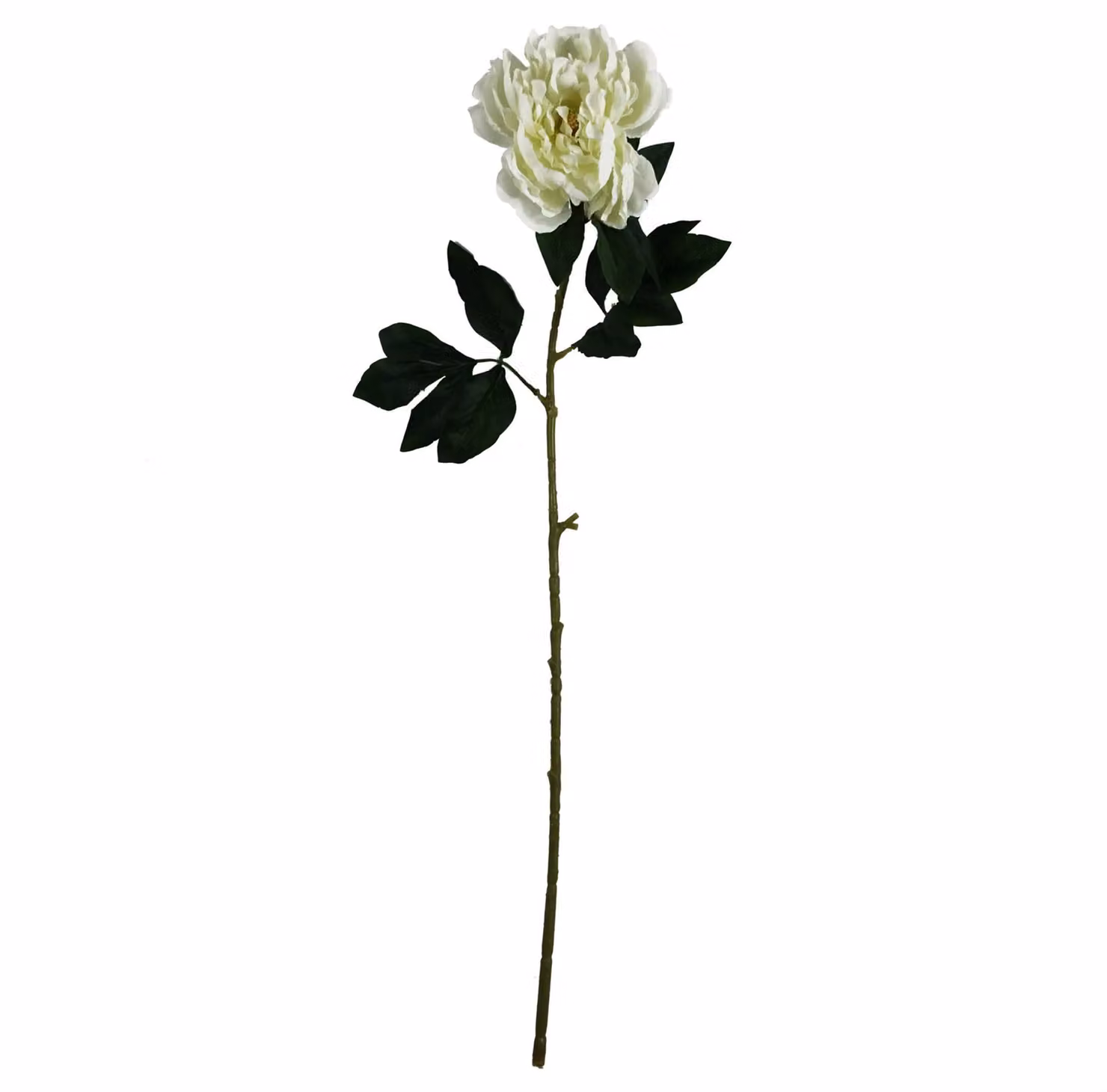 Leaf Artificial Cream Peony Stem in White and Beige, Height: 80 cm – 2
