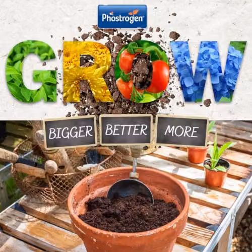 Phostrogen All Purpose Plant Food Granulate, 800g for Indoor and Garden Plants – 6