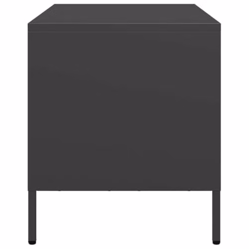 vidaXL Industrial Black Metal TV Cabinet W: 68 cm, D: 39 cm, H: 43.5 cm – 5
