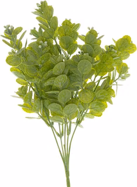 KDMK Organic Spring Herb Greenery Bunch in Green