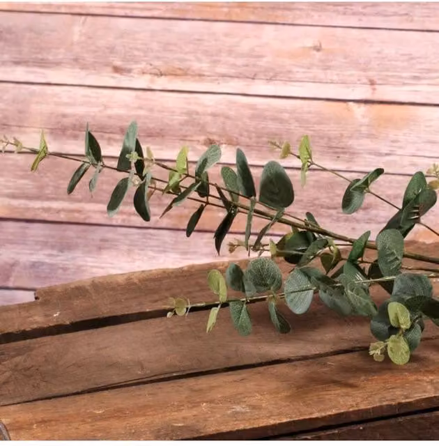 KDMD Pale Green Eucalyptus Spray, 2 Pack, Height: 92 cm