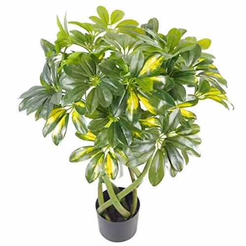 Leaf Design UK Gold Capella Arboricola Artificial Bonsai Bush with Pot, Green, Height: 70 cm