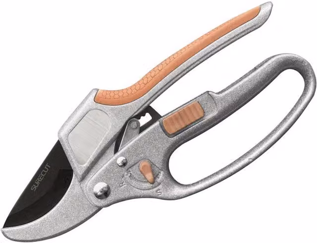 Kent & Stowe SureCut Hardwood Anvil Ratchet Secateurs in Brown and Silver