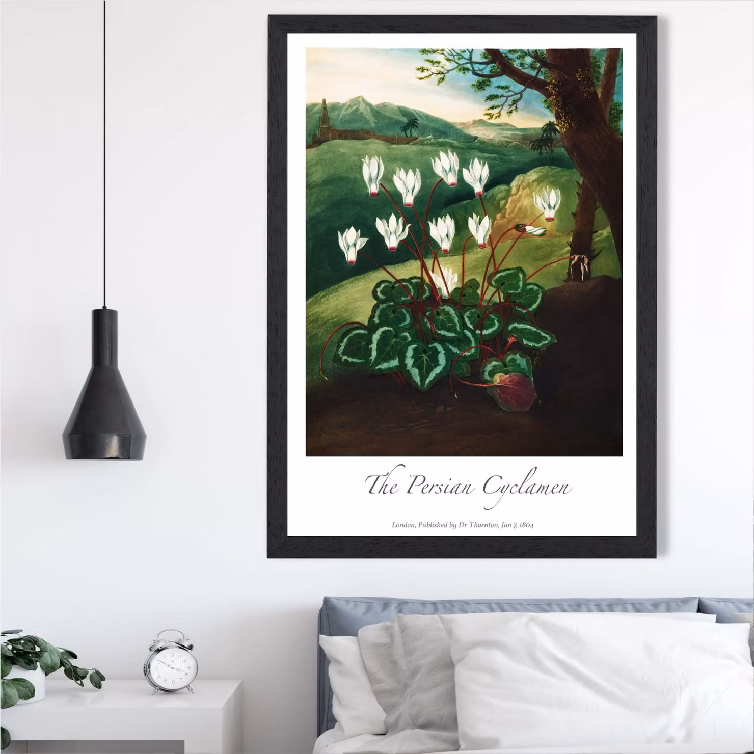 ARTZE Vintage Floral Cyclamen Flowers Framed Print, Green and Black, A2 – 2
