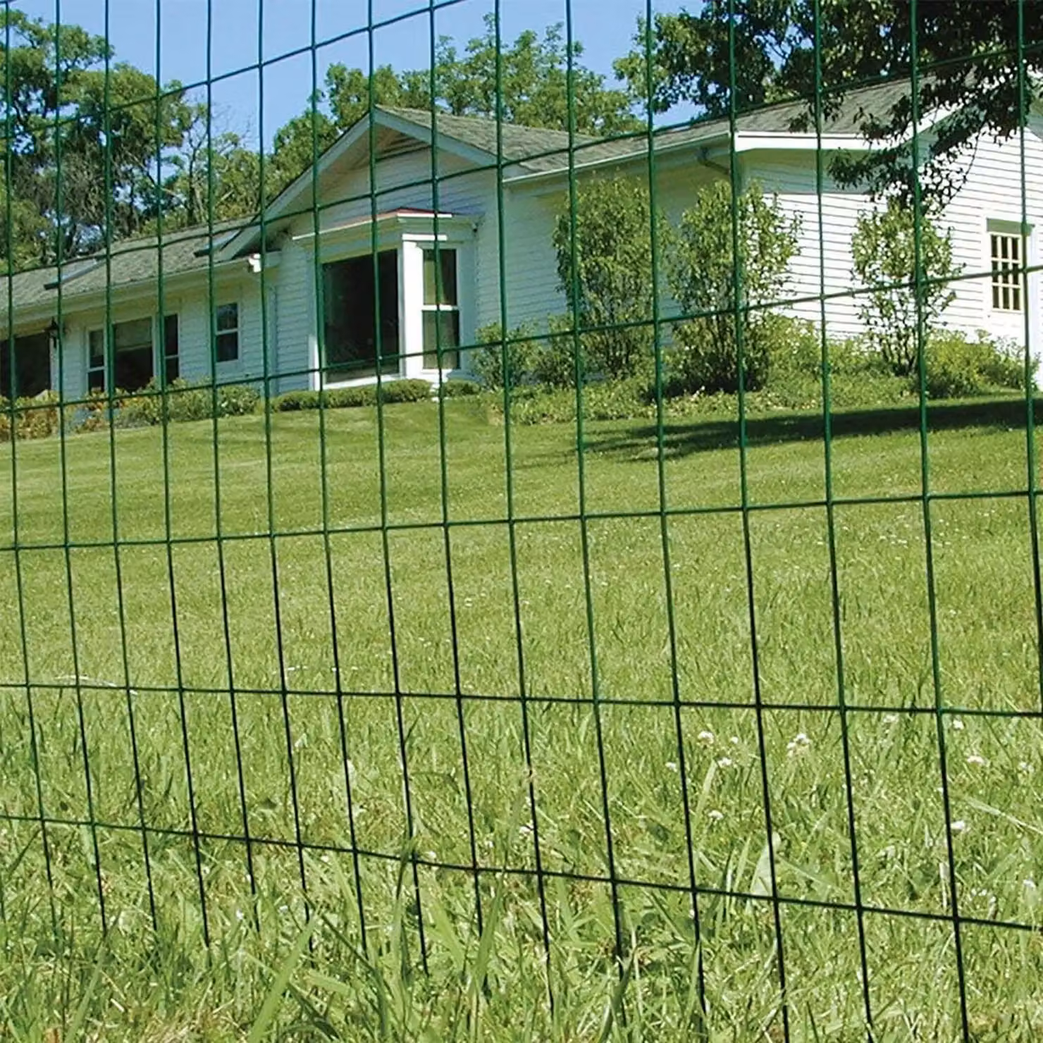 Simpa Green PVC Coated Steel Wire Mesh Euro Fence Roll H 1 m x L 10 m – 3