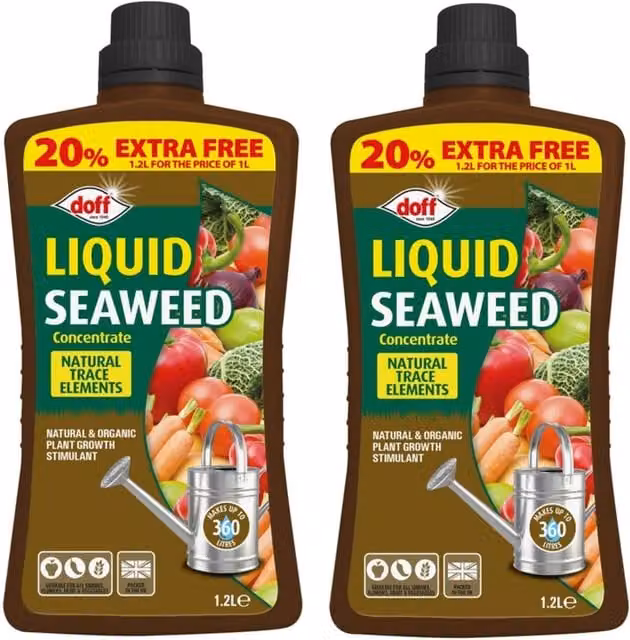Doff Liquid Seaweed Plant Feed Concentrate All Purpose Plant Tonic, 1.2 l