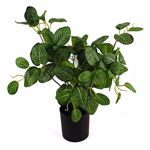 Botanik Potted Artificial Variegated Pothos Plant in Green and Black, Height: 40 cm – 1
