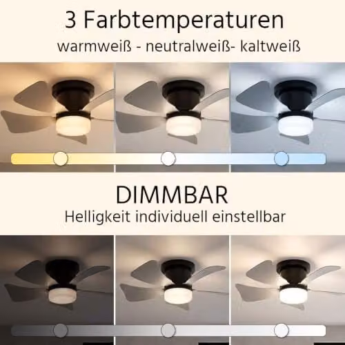 Globo Lighting LED Ceiling Fan with Remote Control and Timer, Grey, Diameter: 40.6 cm – 4
