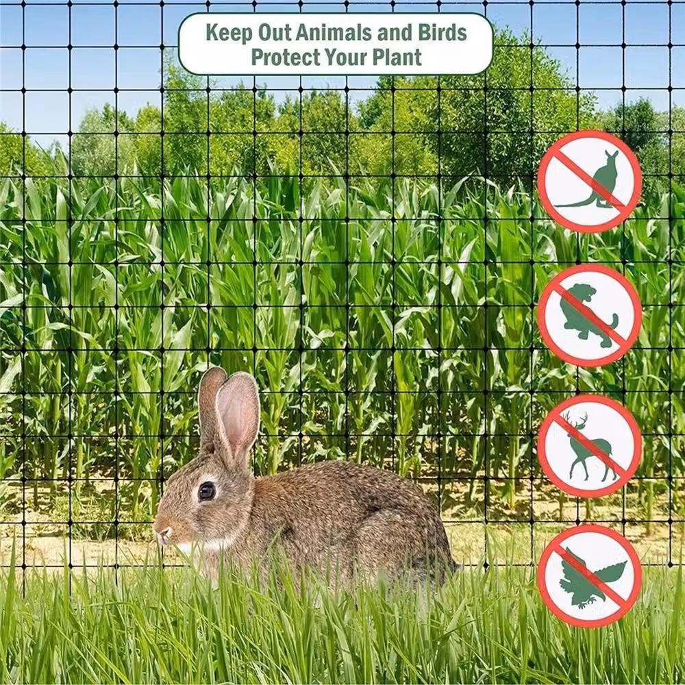 EONLION Black Anti Bird Netting for Gardens, 6m x 3m – 3