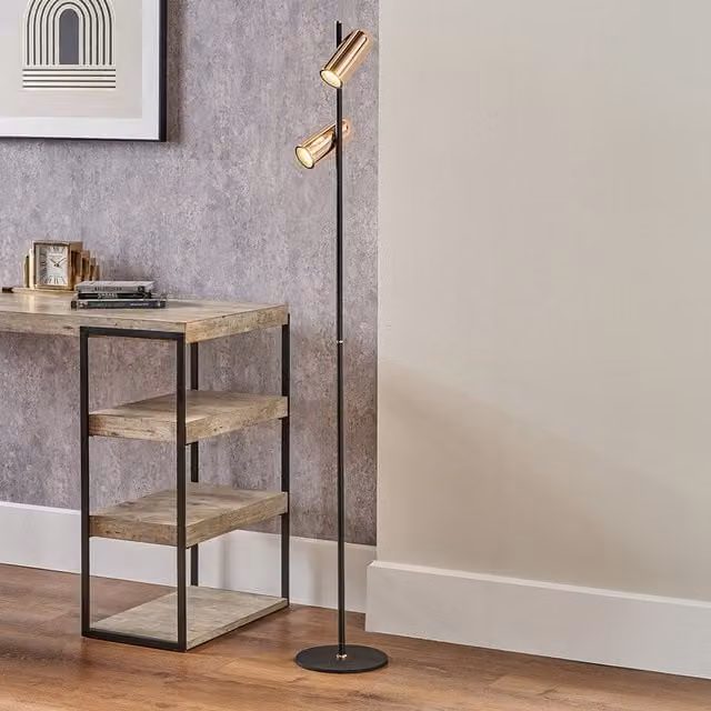 Pacific Lifestyle Modern Adjustable Metal LED Floor Lamp in Black and Gold/Brass