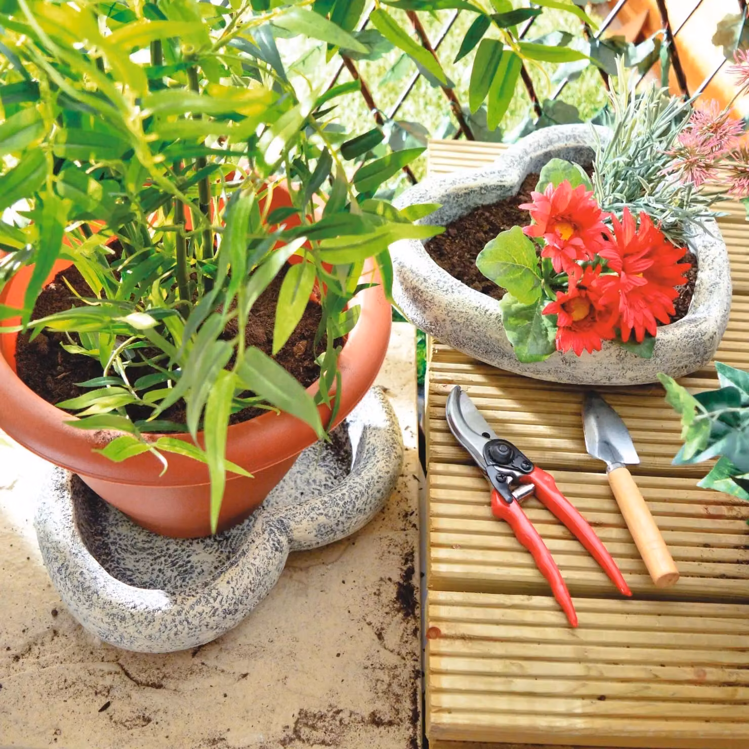 Burwells Set of 2 Heart Shaped Ceramic Planters in Grey, H8 x W31 x D28 cm – 4