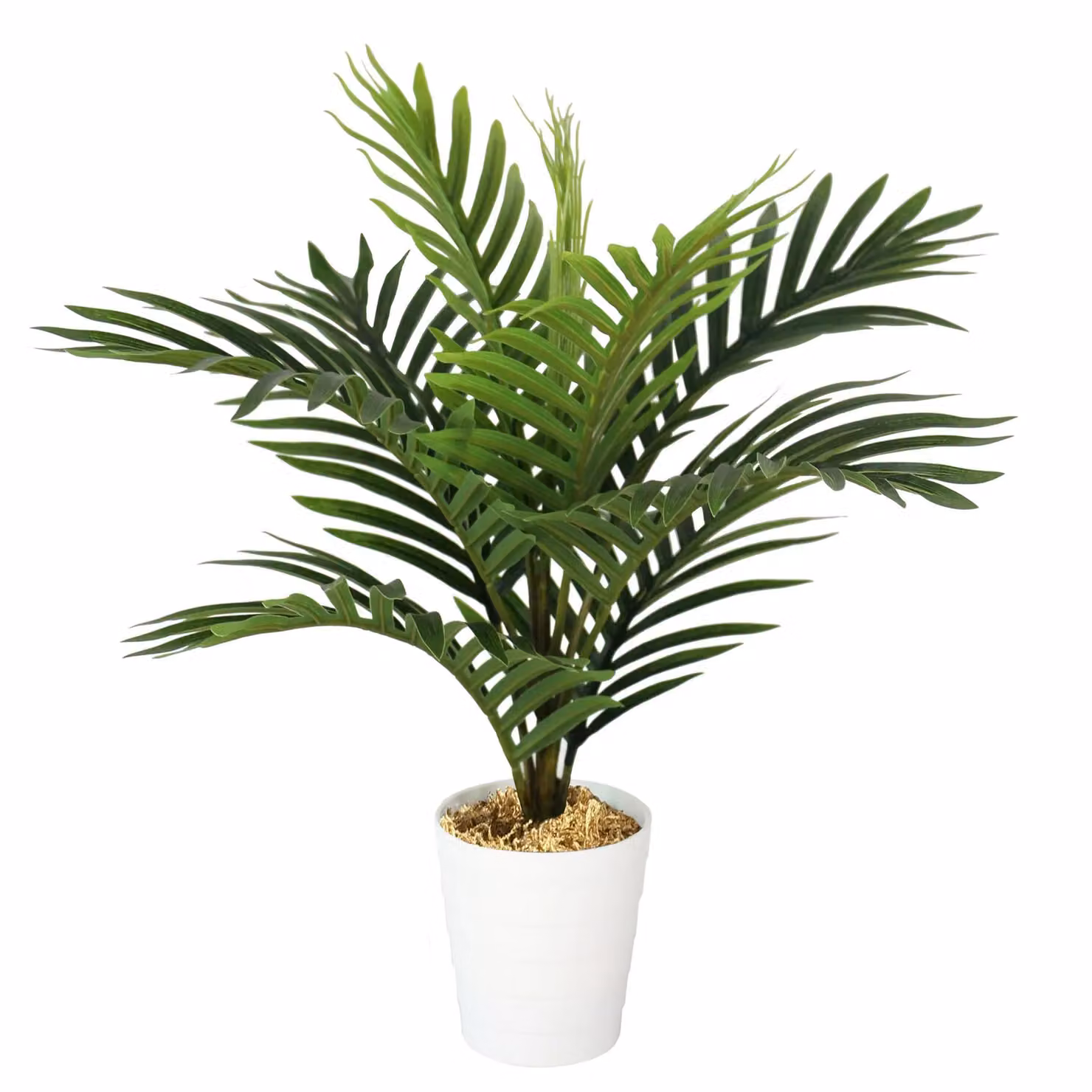 Leaf UK Green Artificial Mini Palm Tree Tabletop Plant, Height: 50 cm – 3
