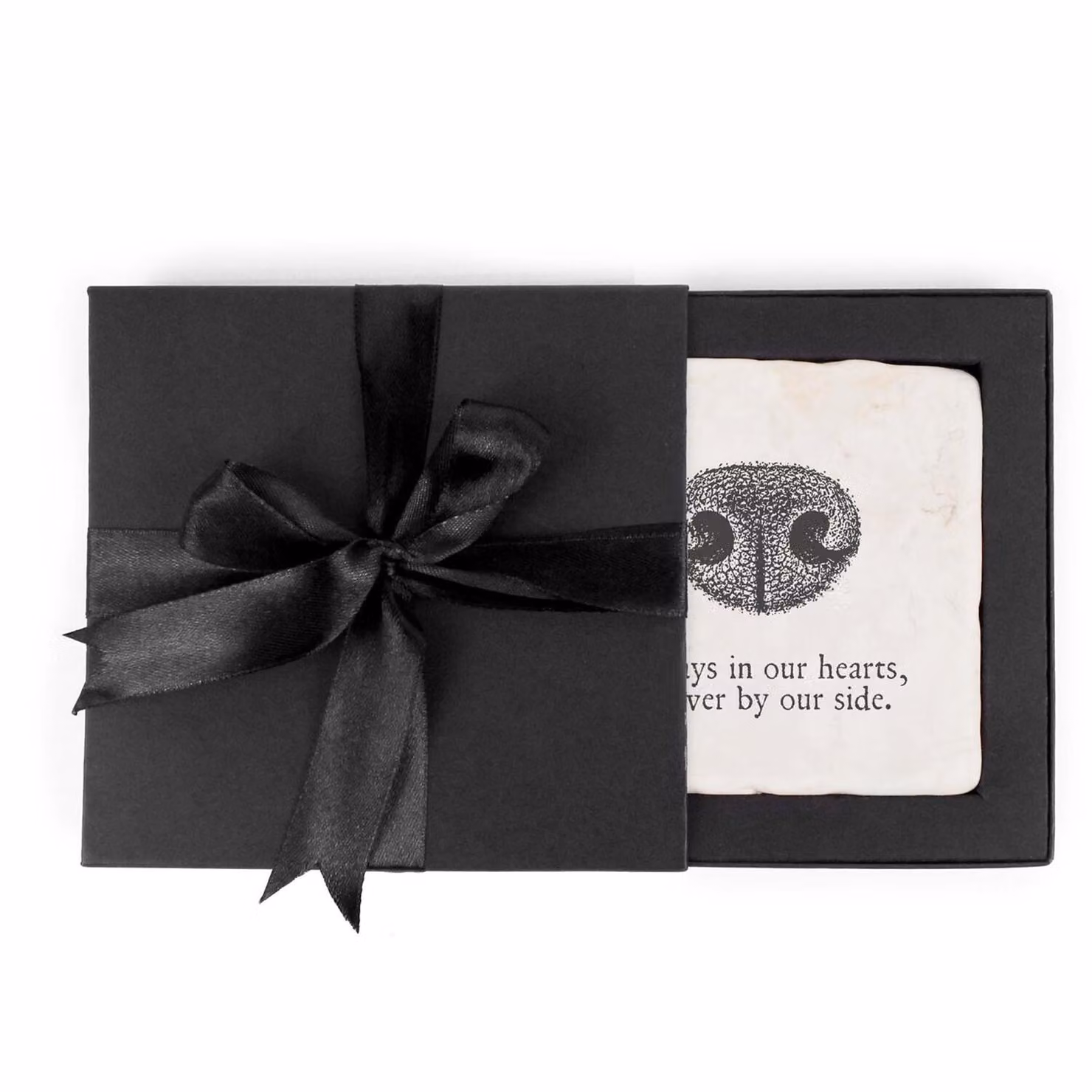 Purely Home Flat-Nosed Dog Print Marble Coaster Gift Box, Black – 5