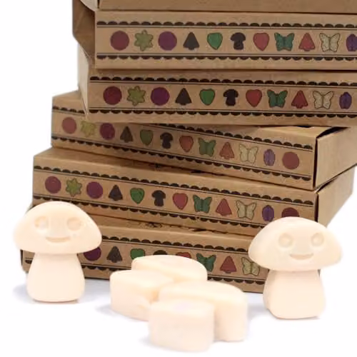Ancient Wisdom Vanilla Nutmeg Wax Melts, Box of 6, White – 3