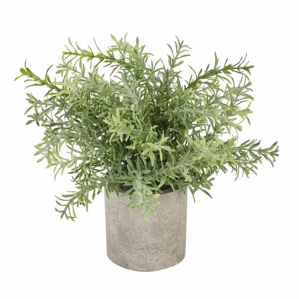 Wyld Haus Medium Rosemary Artificial Plant in a Green Stone Effect Pot – 2