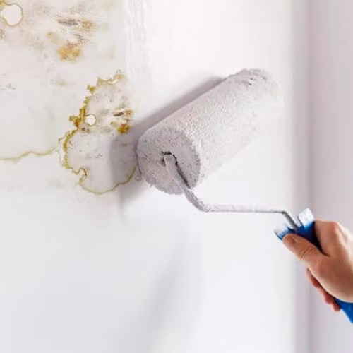 Ronseal Anti Mould Resistant Paint White Matt 2.5l – 2