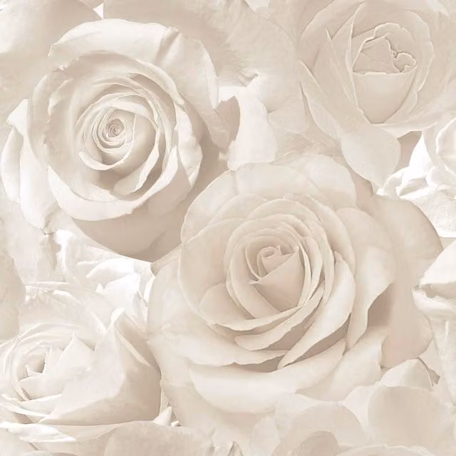 Muriva Madison Rose Glitter Floral Botanical Wallpaper in Cream