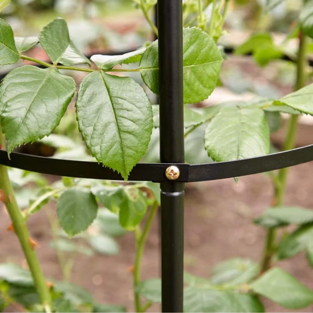 Marco Paul Heavy Duty Metal Garden Obelisk Trellis Support in Black, Height: 190 cm, Width: 40 cm – 3