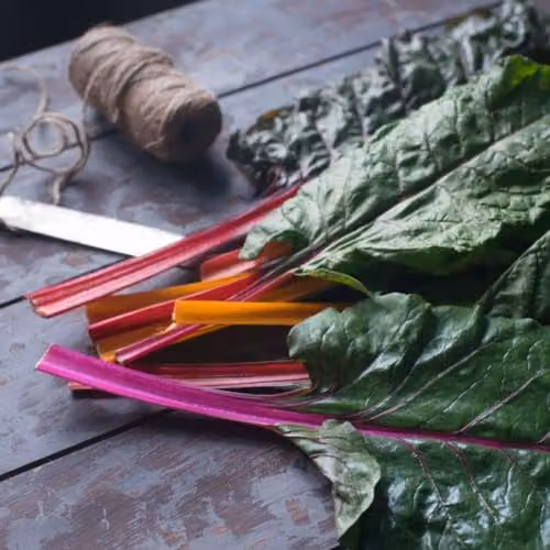 Thompson & Morgan Swiss Chard Bright Lights F1 Vegetable Seeds, Multicolour Stems, 100 Seeds – 2