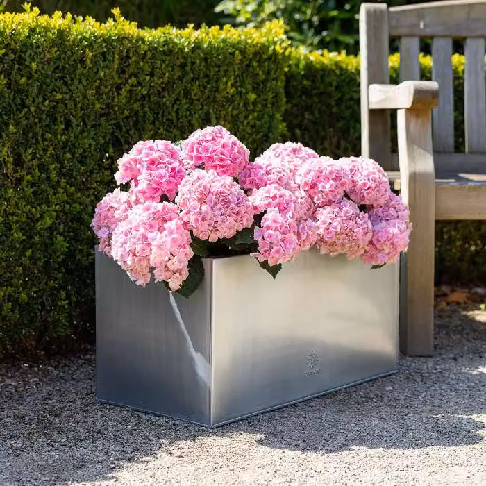 Primrose Galvanised Steel Rectangular Trough Planter, Silver, W: 64 cm, D: 30.48 cm – 4