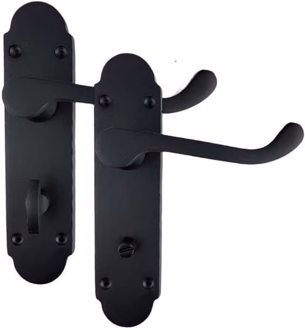 Golden Grace Polished Black Door Handle