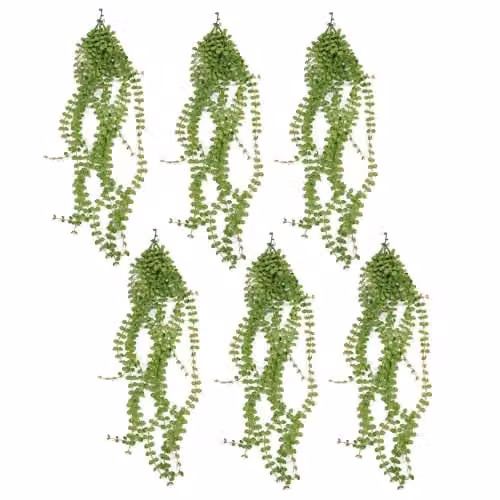 Pack of 6 Green Leaf Artificial Hanging Pearl String Plants, UV and Fire Resistant, 92cm