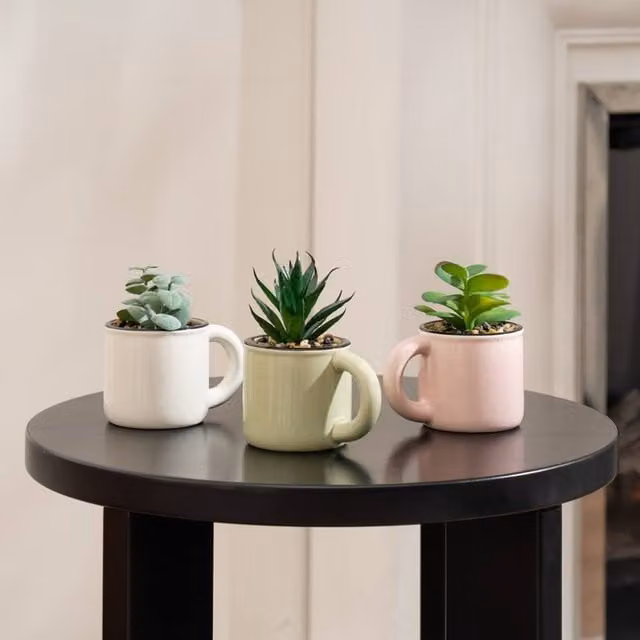 Scottish Everlastings Ltd Set of 3 Multicolour Ceramic Succulent Cups