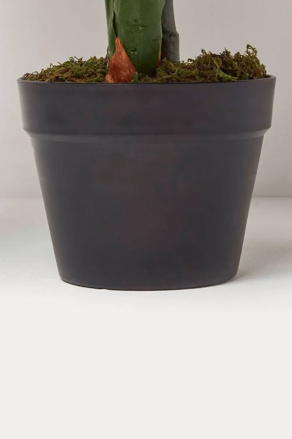 Homescapes Green Taro Plant in a Black Pot, Height: 90 cm – 2