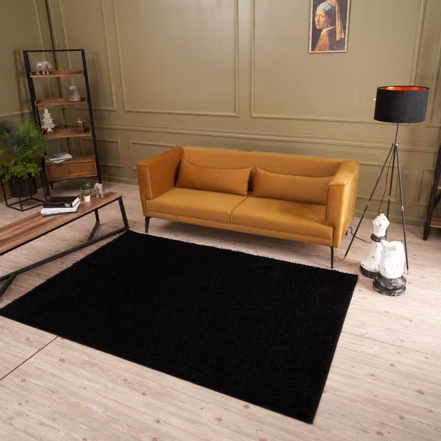 THE RUGS Soft Plain High Pile Shaggy Rug for Living Room or Bedroom, Black, W/D/H: 170 x 120 cm