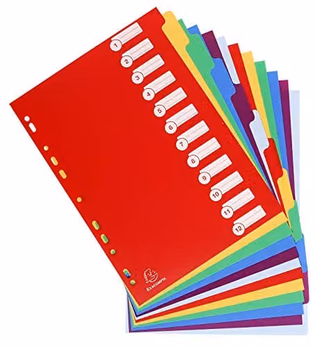 Exacompta A4 Rigid Opaque Plastic Dividers with 12 Blank Tabs in Multicolour – 2