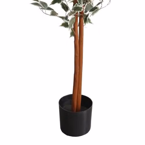 Botanik Green Artificial Ficus Tree, H 160 cm x W 80 cm x D 80 cm – 3