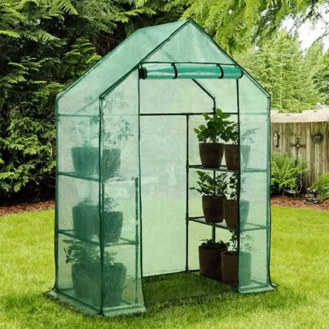 Faboer Freestanding Walk-in Gable Garden Greenhouse with Shelving, Green