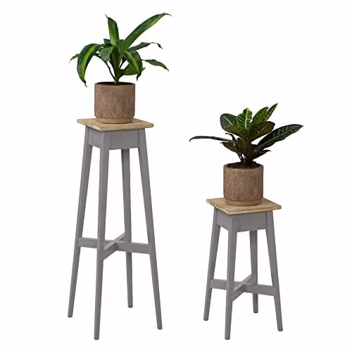 Statement Furniture Set of 2 Acacia Wood Indoor Plant Stands in Grey, H 80 cm and H 28 cm – 2