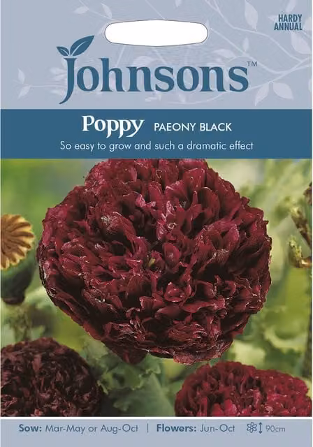 Johnsons Purple Paeony Black Poppy Flower Seeds for Ornamental Gardens
