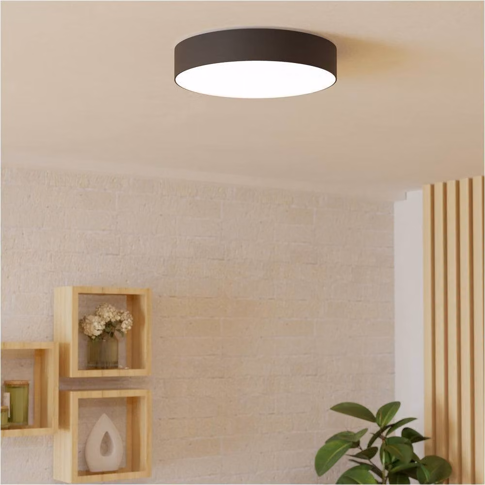 Loops Modern Black LED Ceiling Light with Included Bulb – 2