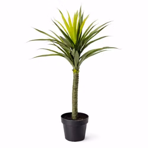 Leaf Large Artificial Spiky Yukka Tree Plant in Green and Black, Height: 90 cm – 1
