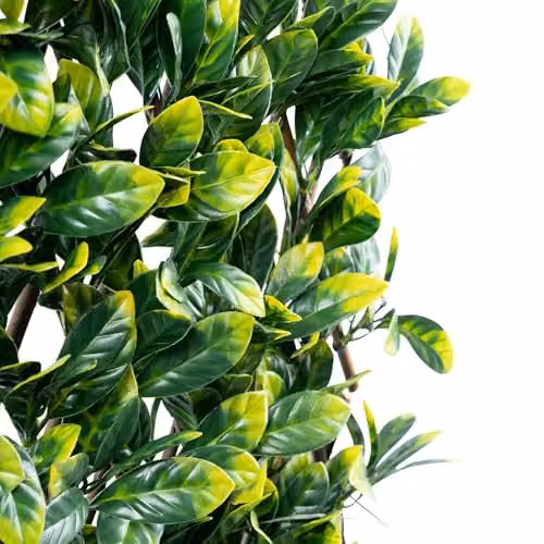Primrose Green Artificial Laurel Extendable Rectangular Trellis Hedge Screening W: 200 cm, H: 100 cm – 5