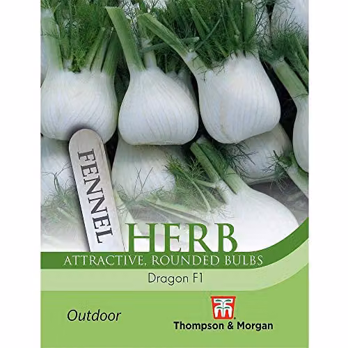 Thompson and Morgan Herb Fennel Dragon F1 Hybrid Foeniculum vulgare Seeds
