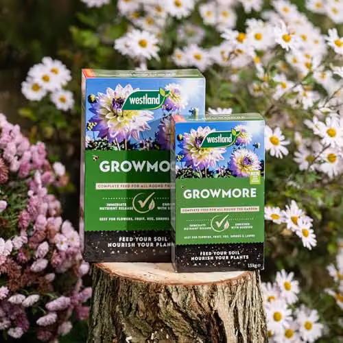 Westland Growmore All Purpose Plant Food Granulate, 4 kg – 5